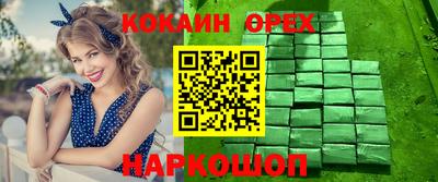 стафф Гай