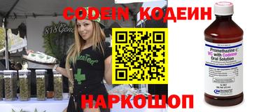 стафф Гай