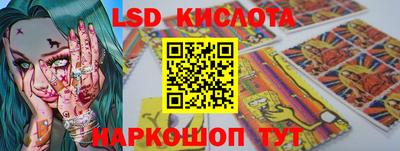 стафф Гай