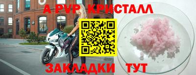 стафф Гай